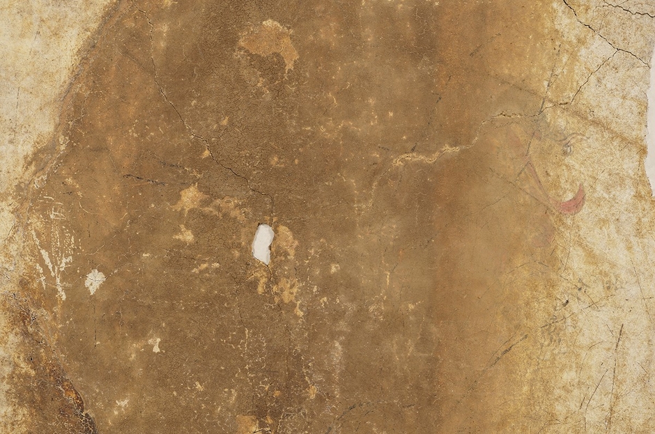 【画像2】青龍図像の可視光写真　2023年11 月