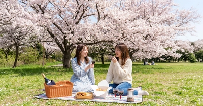 【大阪の穴場桜スポット】海と桜の絶景を望むマリーナで「手ぶらでお花見ピクニック」。期間限定プランを4月4日（土）より開催！