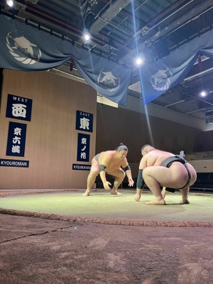 力士3
