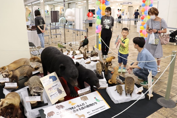 発見！岡山・池田動物園の動物たち