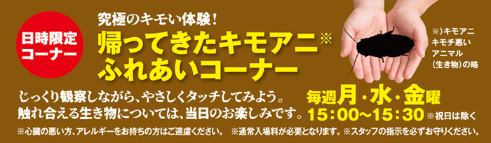 ふれあいコーナー