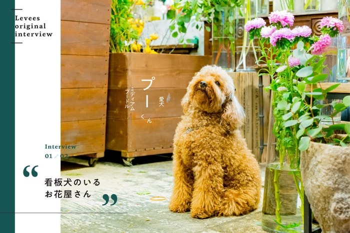 SPECIAL CONTENTS 3