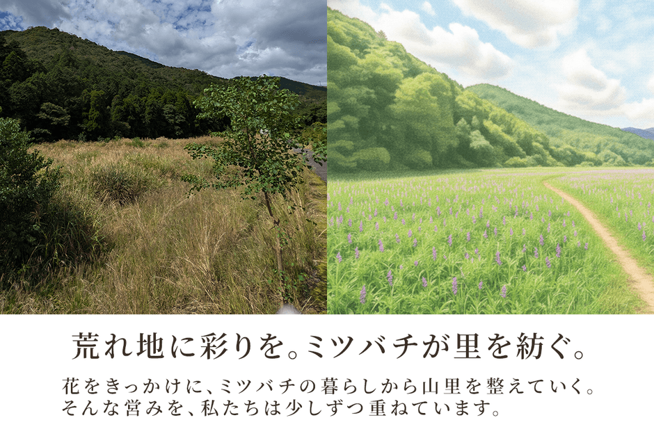 キャンプファイヤークラウドファンディングサブ画像(3)