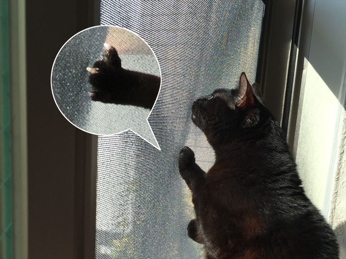 ひっかきに強い!ペット安心網