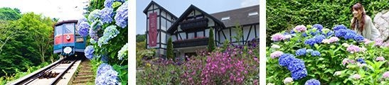 (左から)六甲ケーブル、六甲オルゴールミュージアム、六甲高山植物園