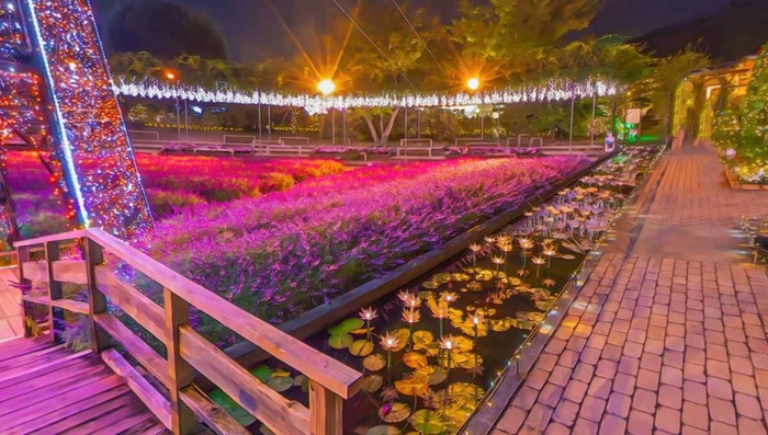園内|イルミネーション