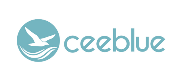 Ceeblue社による超低遅延のクラウドトランスコードソリューション