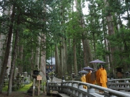 高速バス往復乗車券＋高野山内１日フリー乗車券 ＋金剛峯寺拝観券がセットになった お得な乗車券を発売します。