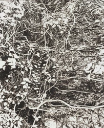 線香で画を描くアーティスト市川孝典、個展「FLEETING DAYS」 の開催が決定