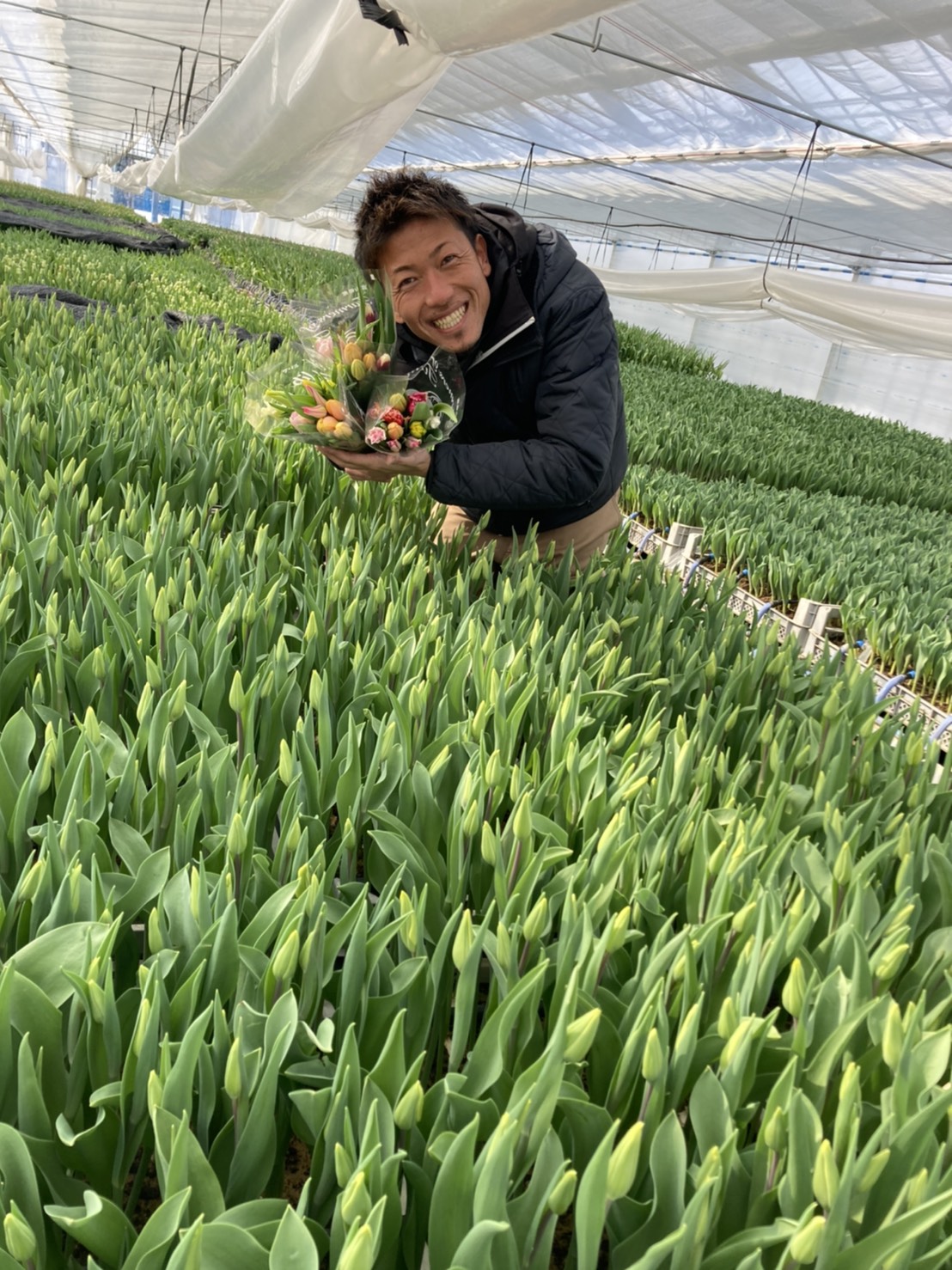 〈規格外チューリップ〉羽田空港でJALふるさと応援隊CAと生産者が無料配布!