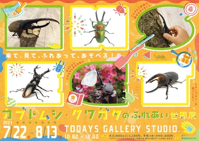 キービジュアル(横)