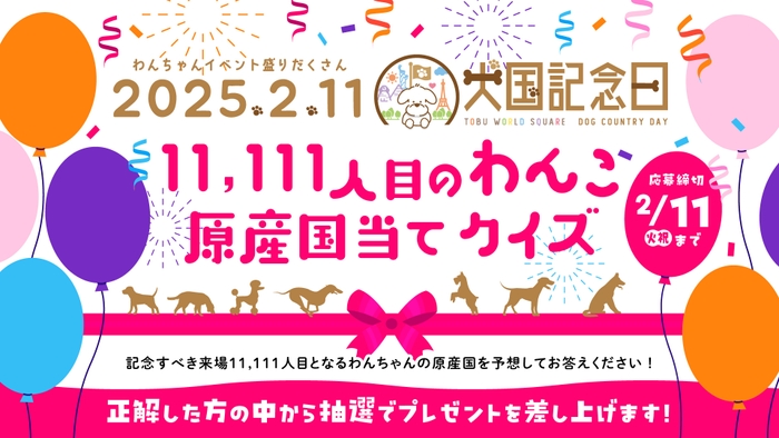 11&#44;111人目のわんこ 原産国当てクイズ