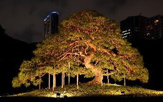 夜間特別開園ー「小石川後楽園 深山光葉を楽しむ」 開催 令和8年11月13日(金)~24日(火)