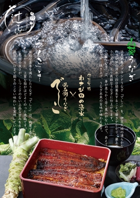 山葵うなぎについて
