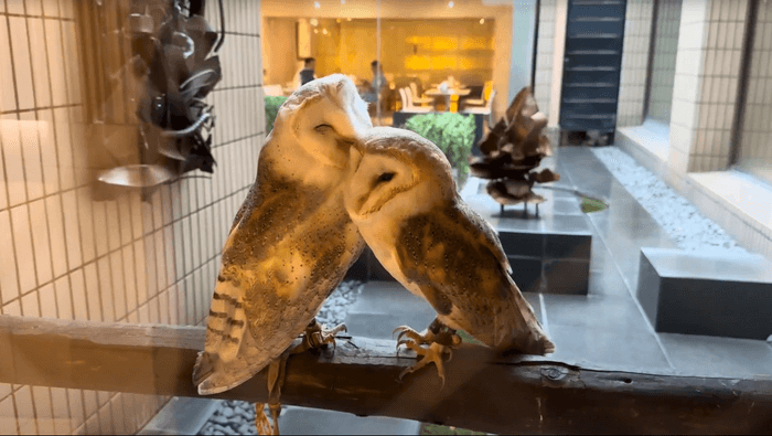 名前はふくろう小屋に掲示します
