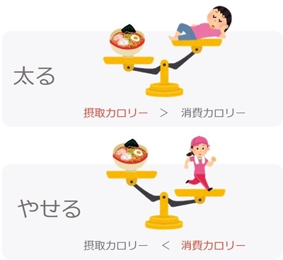 IN(摂取カロリー)/OUT(消費カロリー)のコントロール
