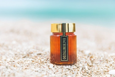 〜養蜂の裏側を発信するショート動画アカウントを公開〜