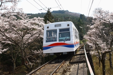 京都から行く比叡山 叡山ケーブル、叡山ロープウェイの運転開始について