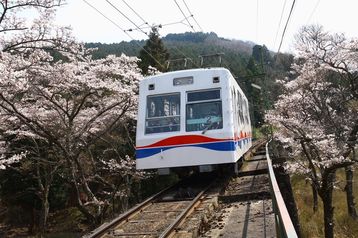 叡山ケーブル