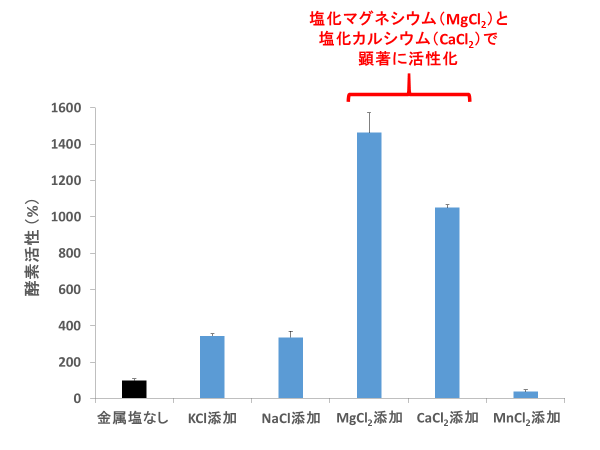 図1. 100 mM 金属塩存在下のSyCS活性。縦軸は、酵素活性の相対値。塩化マグネシウム(MgCl2)と塩化カルシウム(CaCl2)存在下で、SyCSの活性は、顕著に向上します。