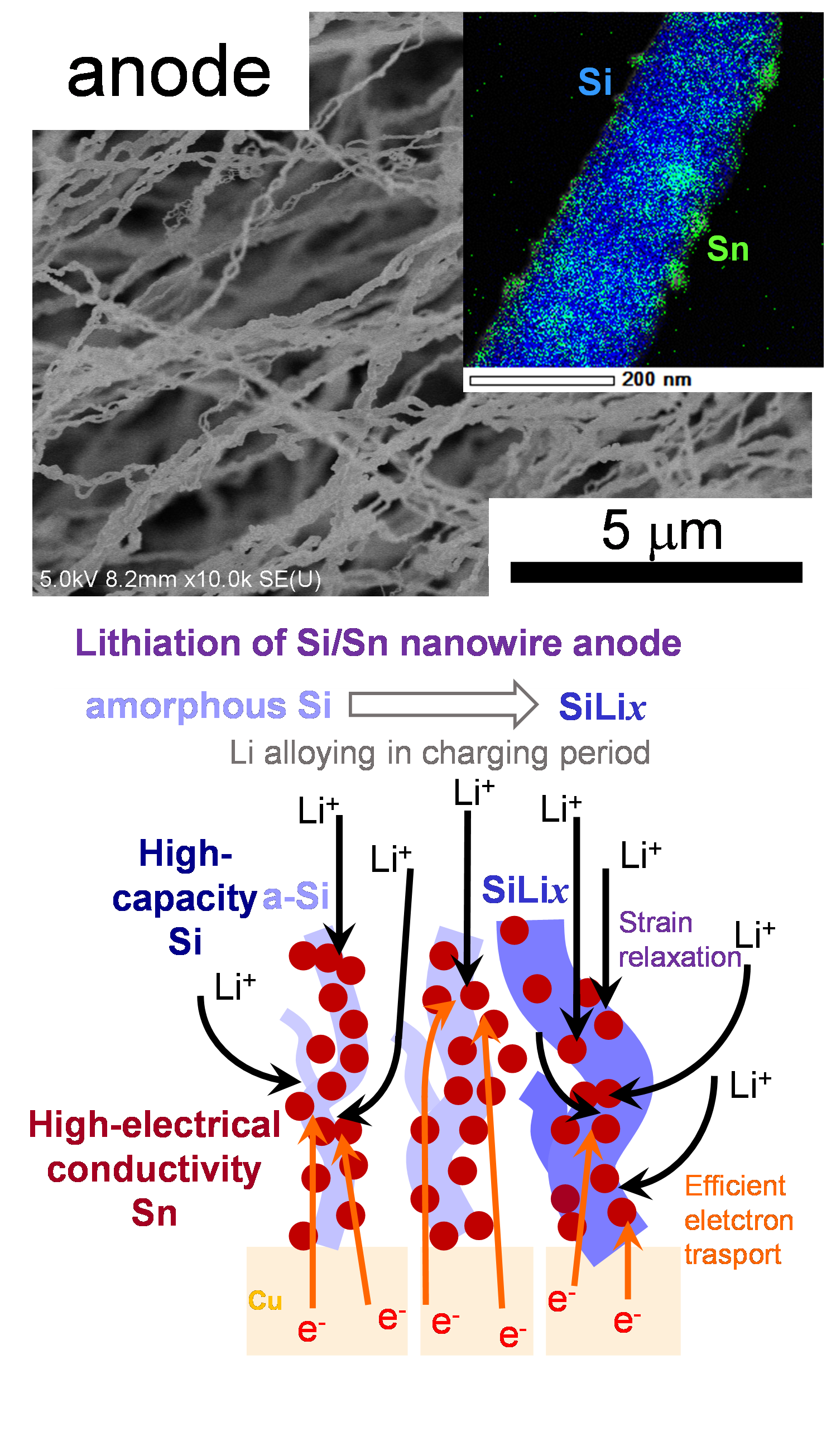 【名城大学】全固体リチウムイオン電池材料の展開に期待 低温プラズマプロセスで1次元Si/Snナノ材料負極の シングルステップ作製に成功 ~高容量Liイオン電池を実証~