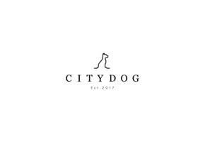 CITY DOG