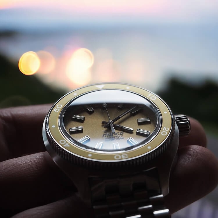 フクシマウォッチ（日本）