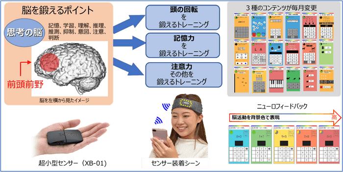 最先端脳科学に基づく次世代脳トレ