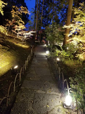 紫雲の庭3