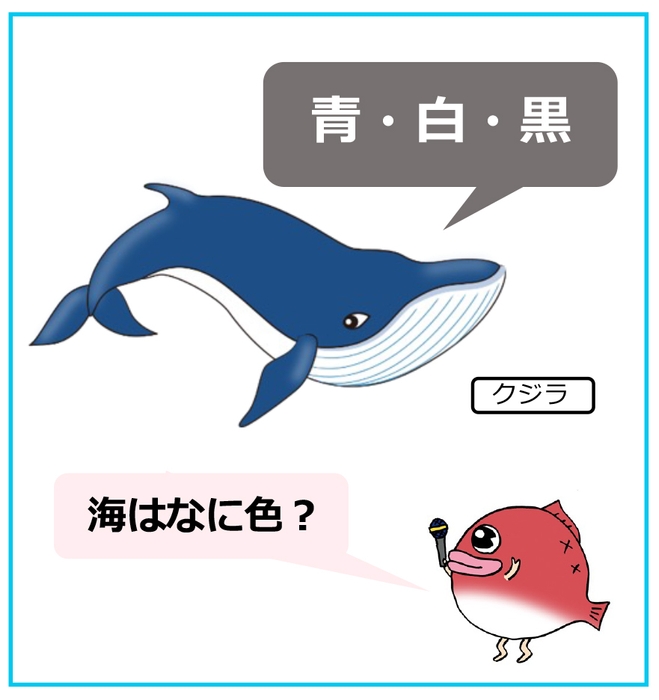 【クジラのお話】