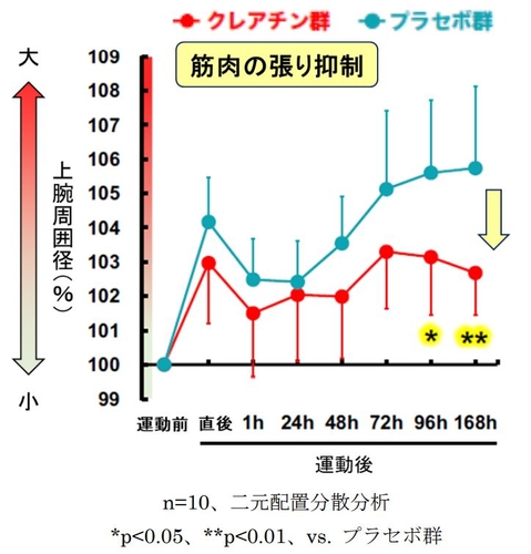 図2　運動後の筋肉の張りに対する クレアチンの効果