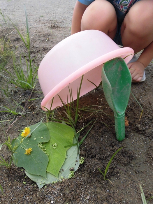 園児の作ったコビトを捕まえるための罠