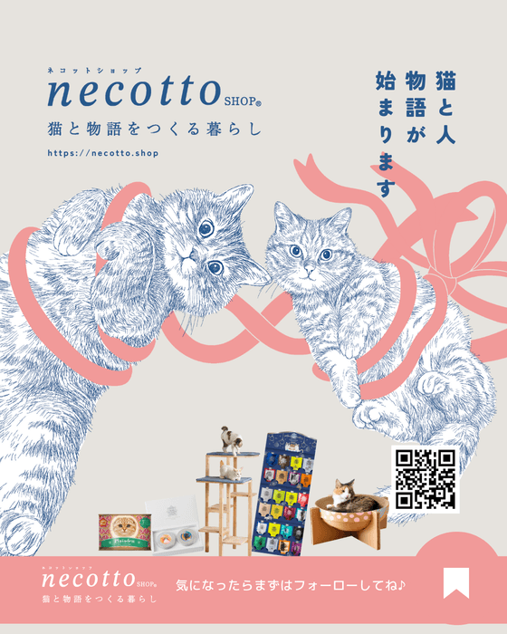 necotto shop