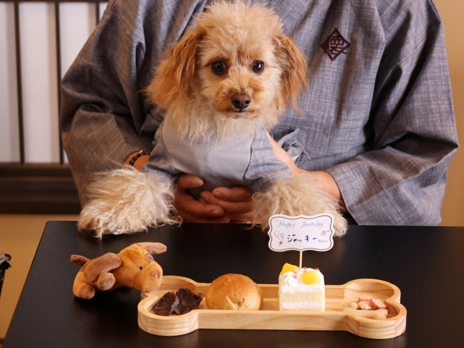 愛犬が主役の記念日プラン2