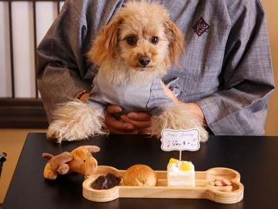 愛犬が主役の記念日プラン2