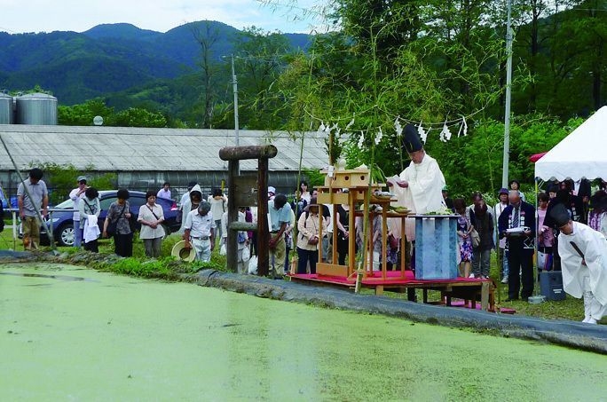 田植式