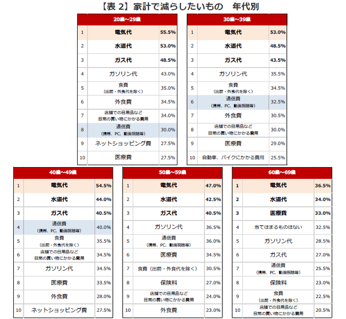 表2：家計で減らしたいもの　年代別
