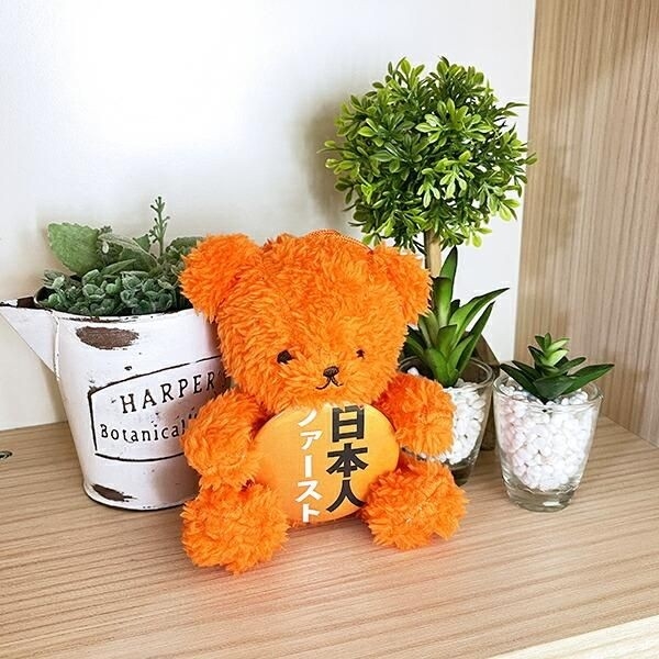 クマアンドベアーの推しハグベアシリーズの保守派ベア