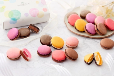 ショコラティエ マサール、ホワイトデー限定フェア「Premium Being Whiteday 2026」開催