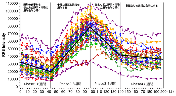 ベジメータ　イメージ