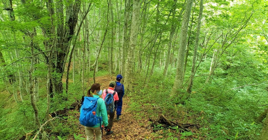 「国界の大ブナ」を目指す、只見町「癒しの森」ガイドトレッキング体験！