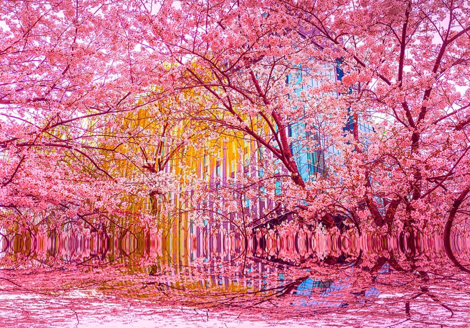 「JAPAN SHOT 140」2024-04-04 15:48:37 東京・銀座 1620mm×1120mm P100 キャンバス