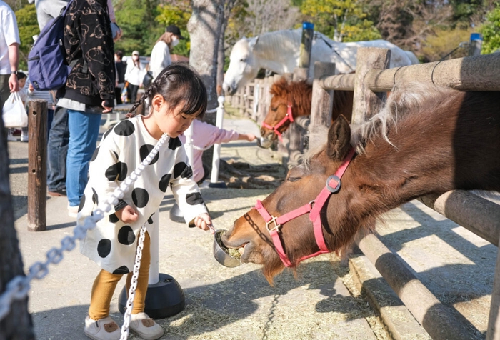 ポニー広場