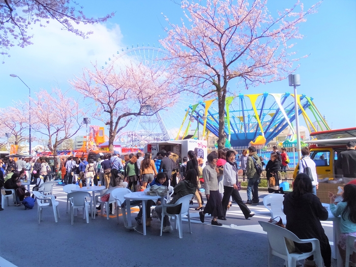 さくらフェスタ グルメストリート 昨年の様子