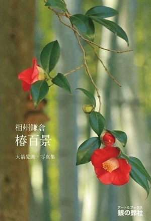 表紙_相州鎌倉 椿百景