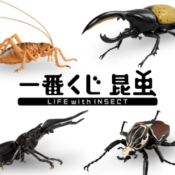 今年の夏は一番くじで虫取りしようぜ！ 世界最大サイズの昆虫がほぼ原寸フィギュアで新登場！