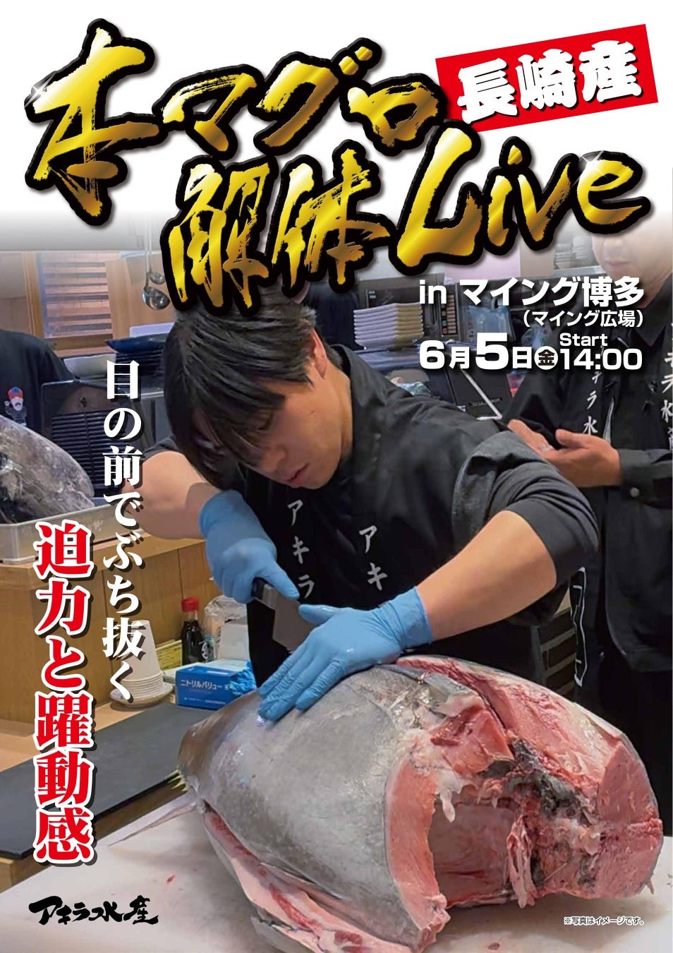 【博多駅でマグロ解体ショー！】6/5（金）マイングにて「本マグロ解体LIVE」を開催します。
