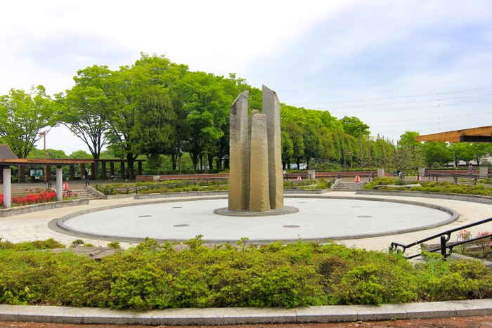 4月28日、新緑の様子