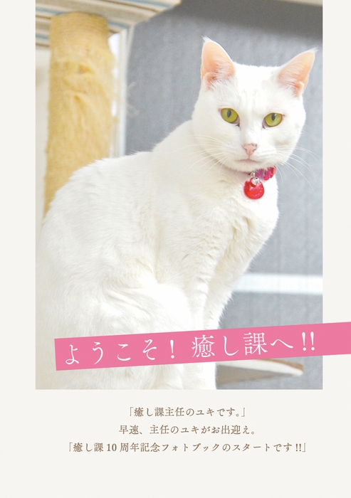 事務所の重鎮 ユキ主任