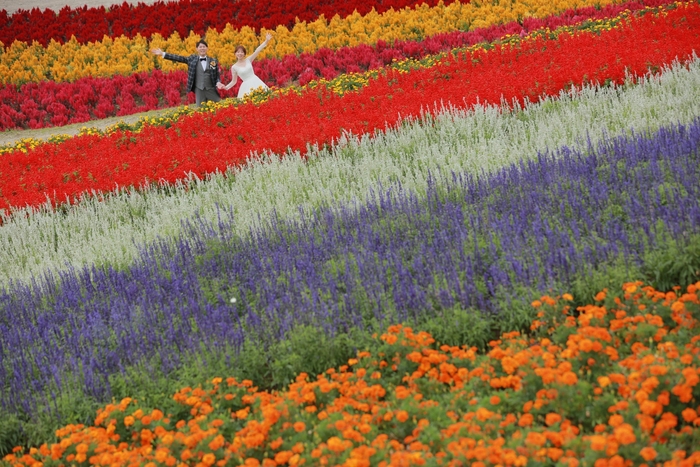 ロケ地:四季彩の丘